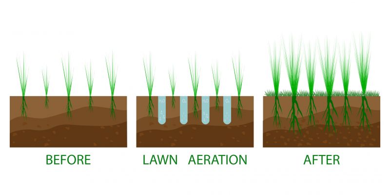 Aeration And Overseeding