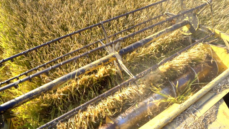 Material Picks that Last