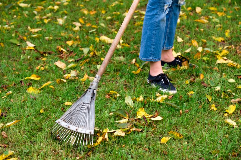 Tools for Fall Yard Maintenance