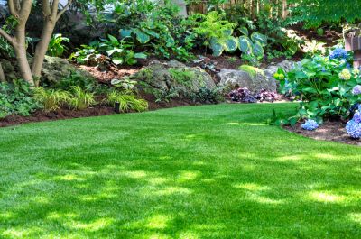 Get Aeration and Overseeding to Improve the Appearance of Your Lawn!